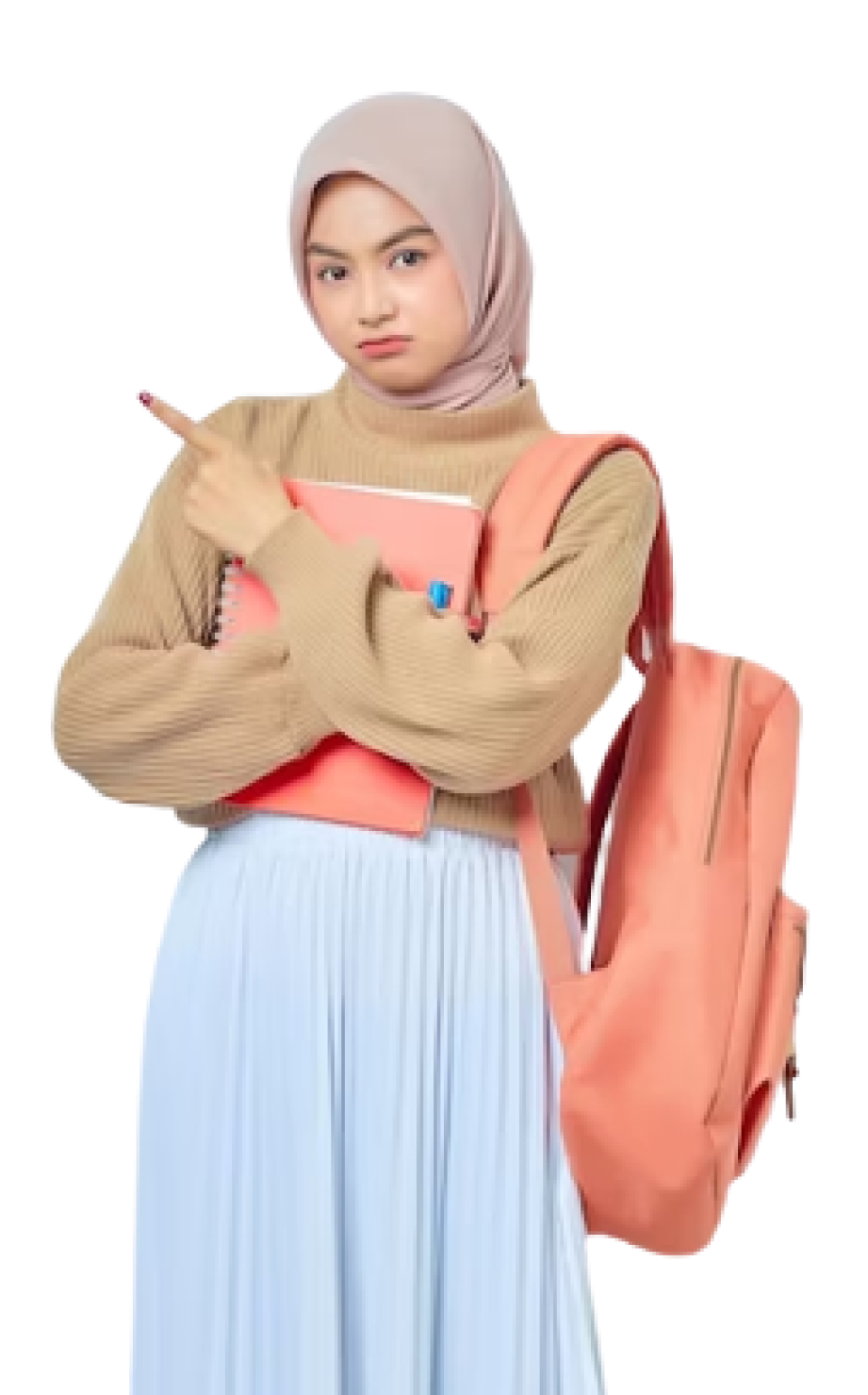 Proyeksi Karir